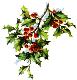 Reading, Roses & Prose: Vintage Holly Clusters ~ Clip Art