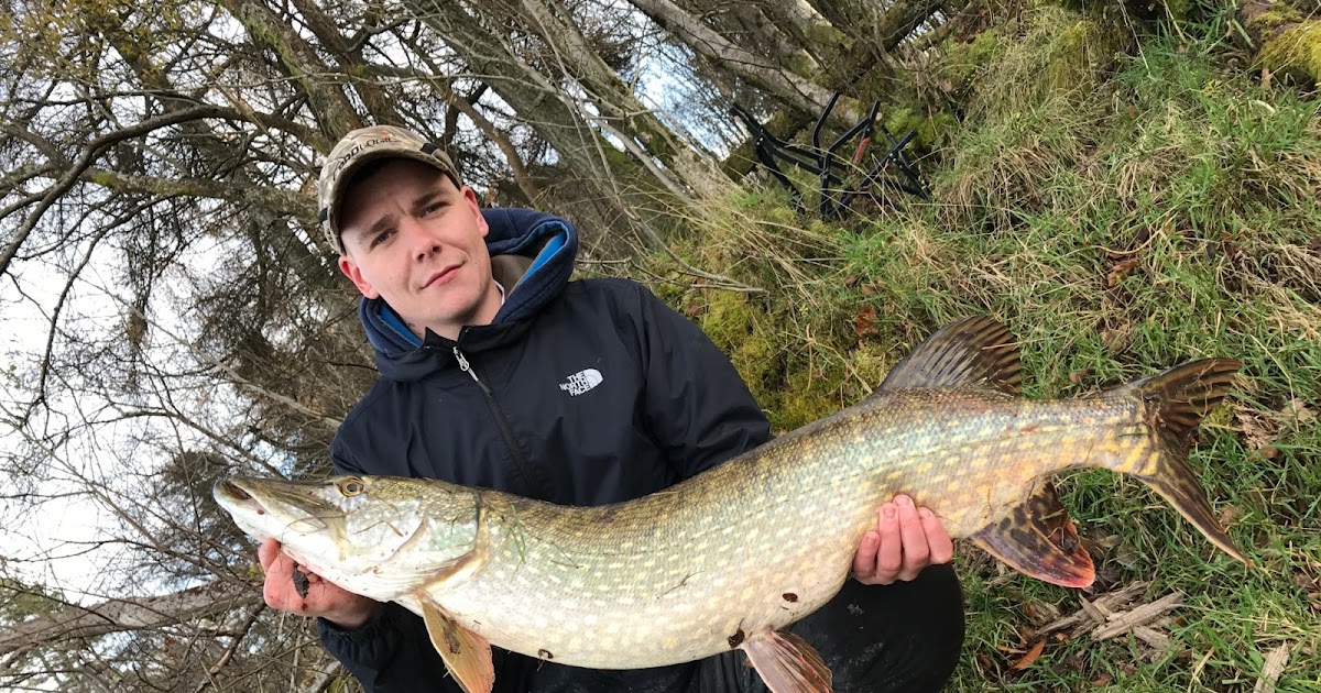 Fishingmegastore Fish of the Month Entry January 2017 Local Pike!