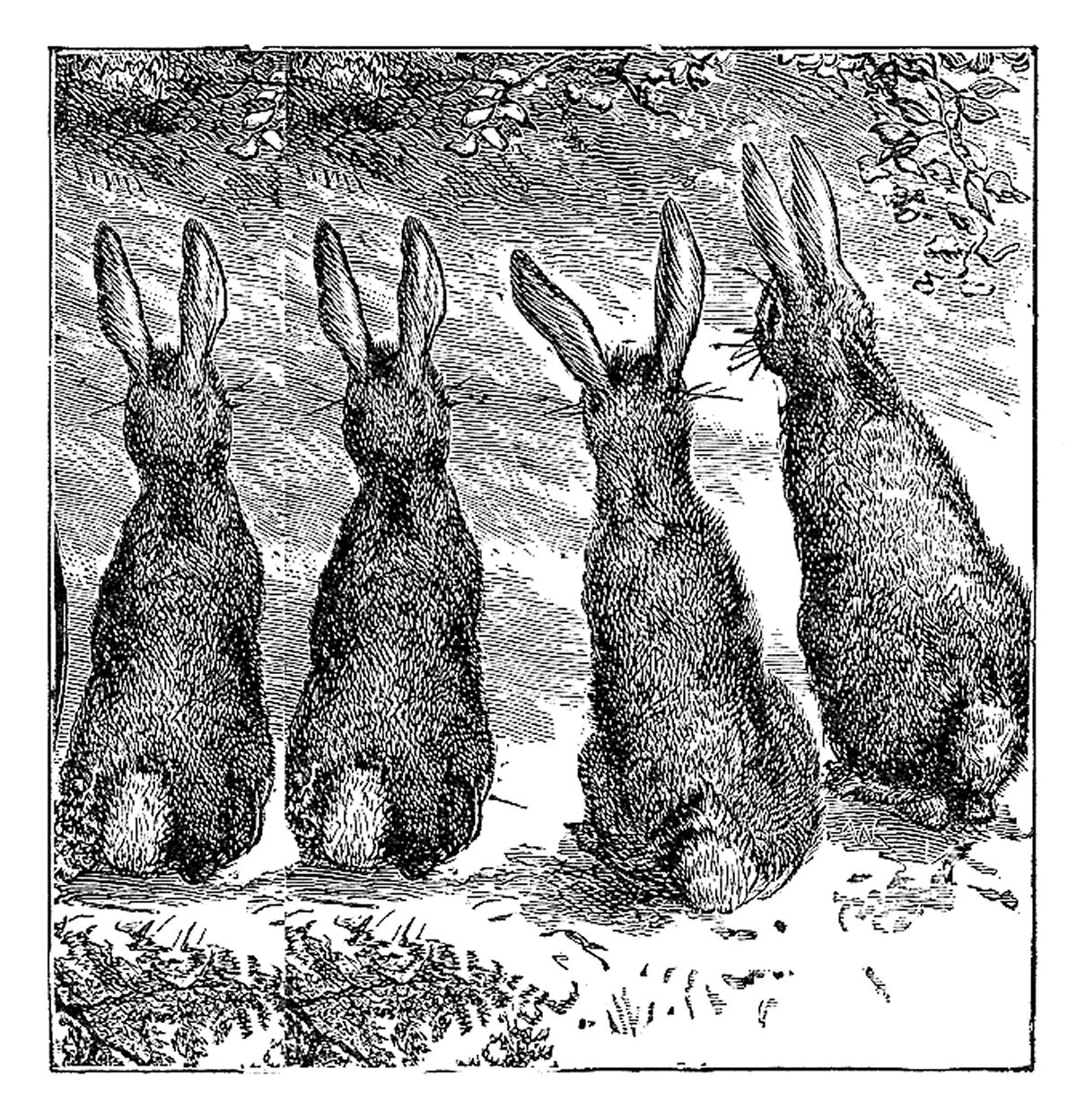 vintage rabbit clip art - photo #4