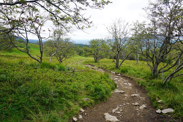 Mont Dore Masivul Central Francez