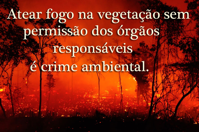 crime ambiental - foto:© Luiz Fernandes