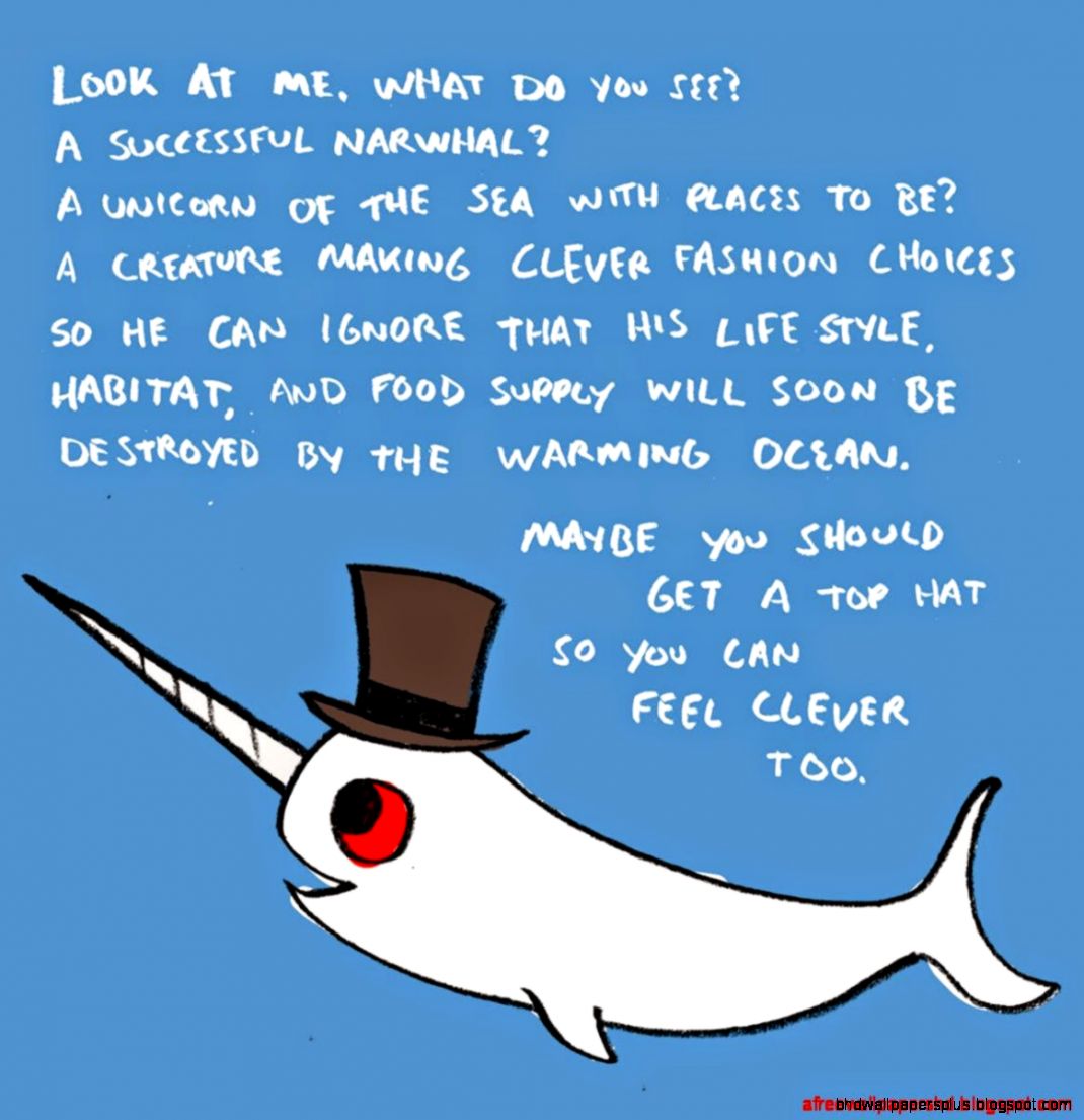 Funny Pictures Animals Tumblr  Free Wallpapers HD