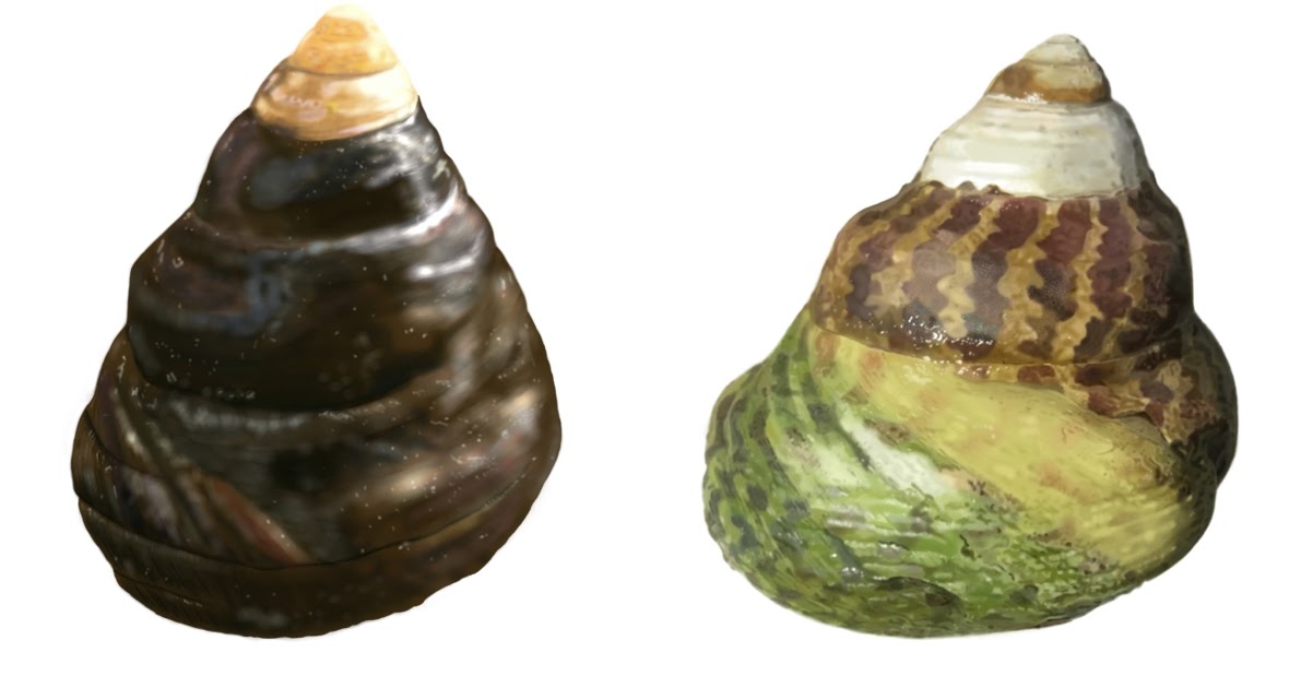 Rubén Ramírez Cañada - Burgados