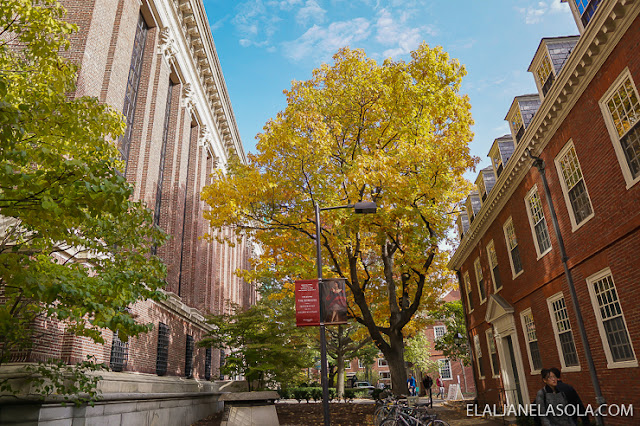 USA | Harvard, Massachusetts 