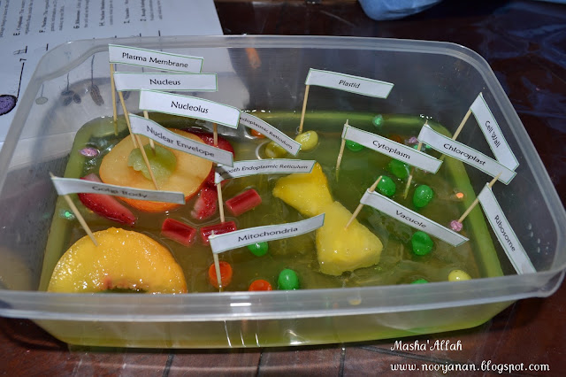 Noor Janan Homeschool: Edible Cells