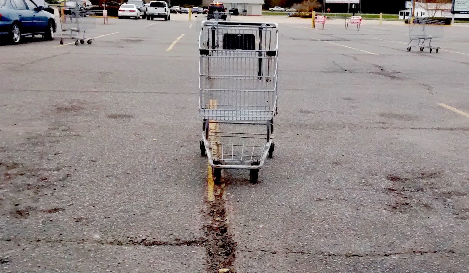 Living Rootless Louisiana Buggy Mayhem Nostalgia