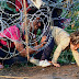 Hungría, sobrepasada por llegada de migrantes
