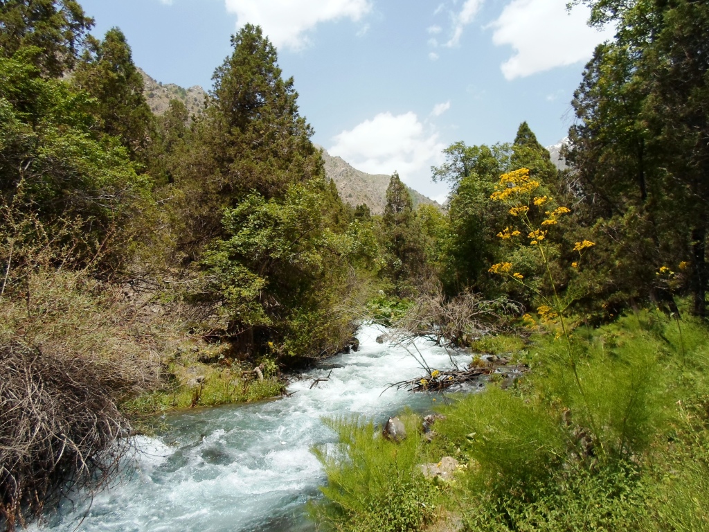 Дом отдыха каратаг таджикистан