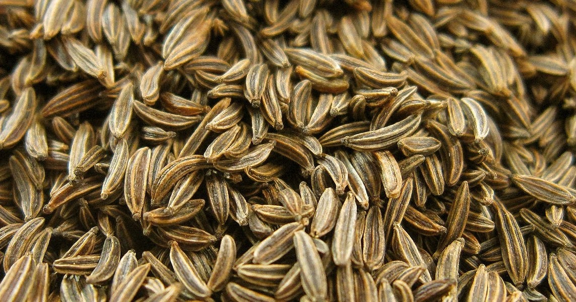 Essential Oils, Menthol and Mint Oils Manufacturer AOS Products Caraway Oils Uses? How