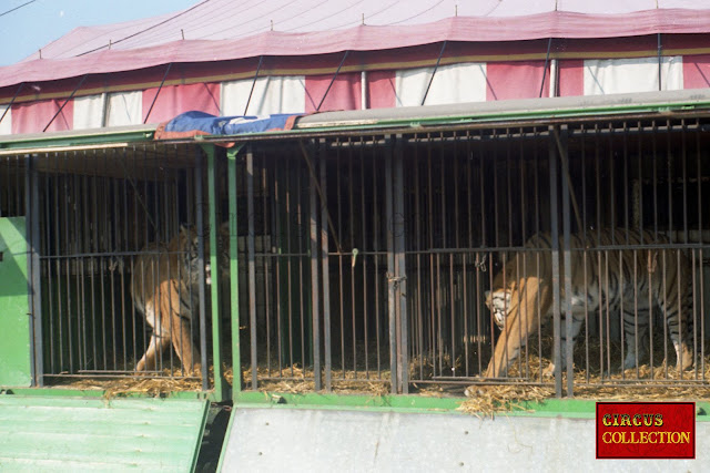 Roulotte cage des tigres du Circo Nacional de Mexico  1971 famille Togni