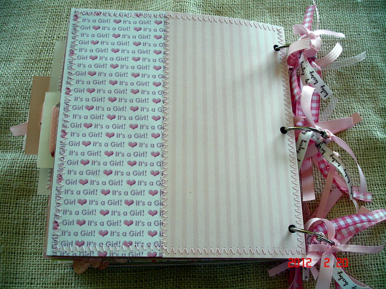 Scrapbooking by Phyllis Premade 8x8 Paper Bag Baby Girl Scrapbook Album