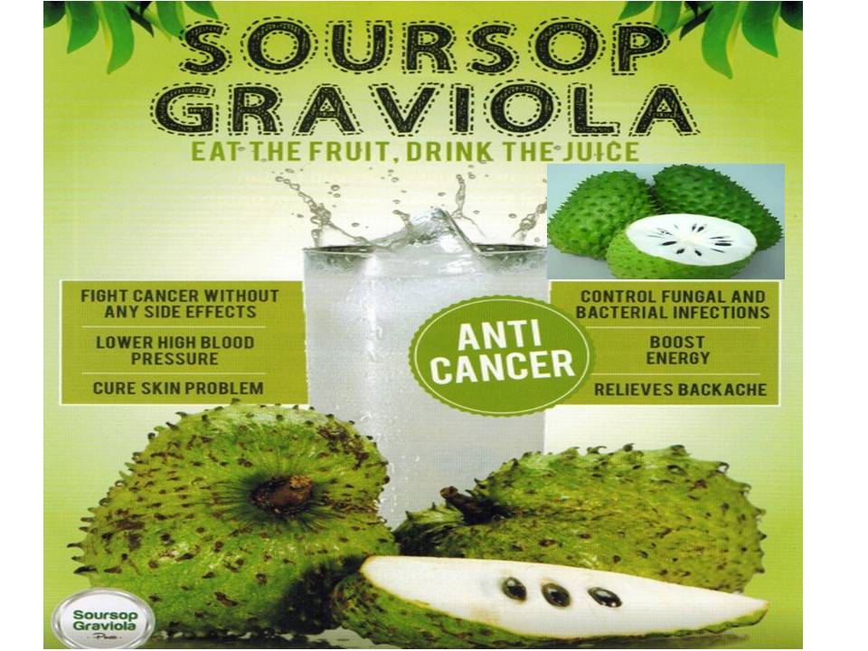 Cure Yourself! THIS FRUIT KILLS MALIGNANT CELLS OF 12 DIFFERENT TYPES