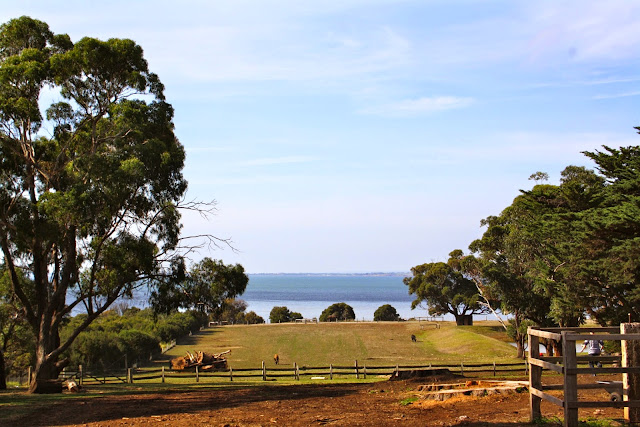 Churchill Island Farm, Phillip Island