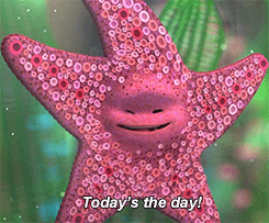 3%2520-%2520todays%2520the%2520day.gif