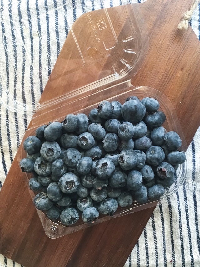CUT and DRY Blueberries!