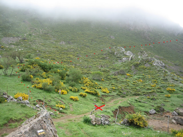 Rutas Montaña Asturias: Rodeo al Valle del Lago