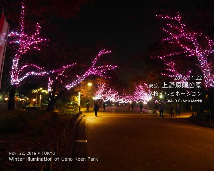 上野公園の冬のイルミネーション