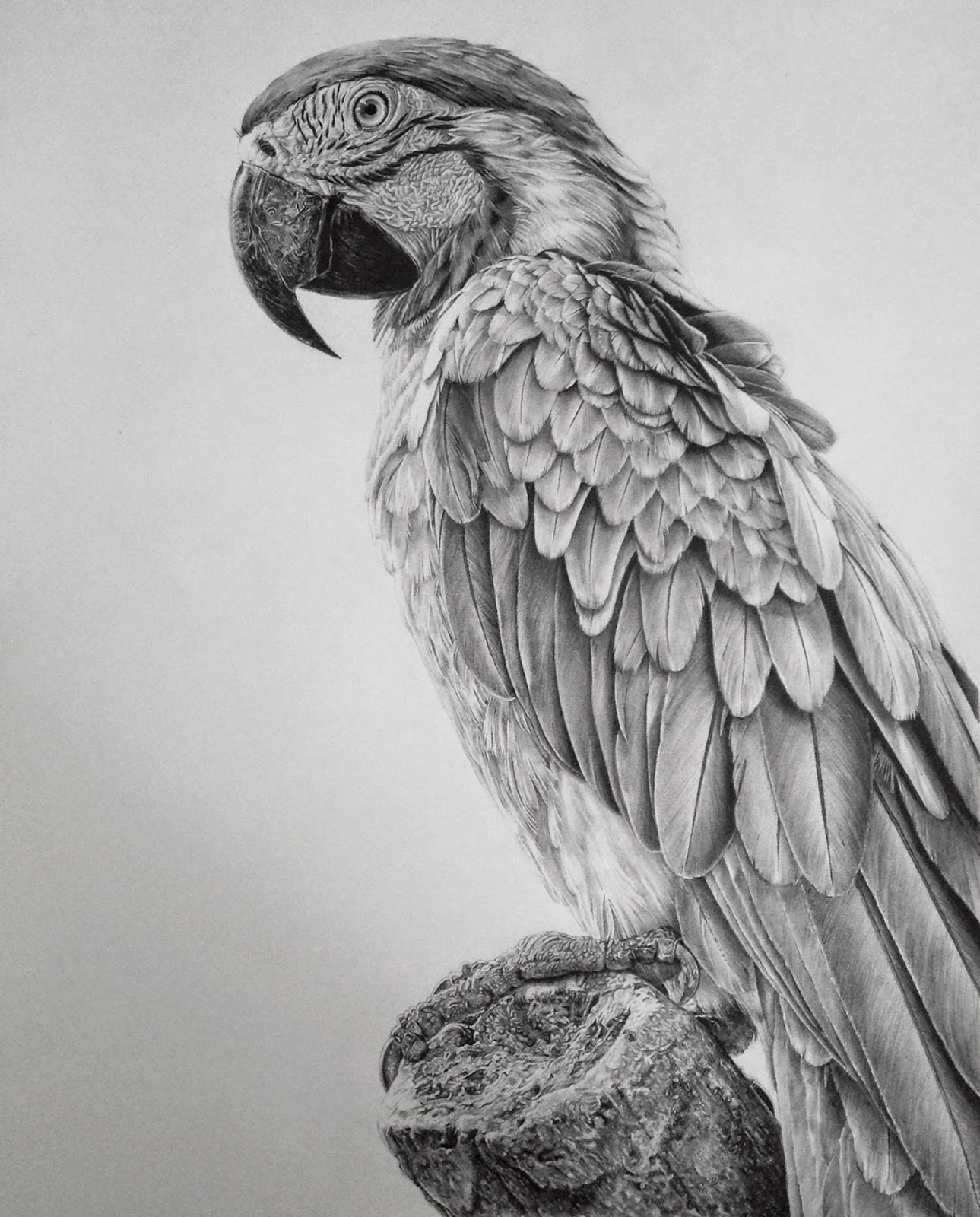 Simply Creative HyperRealistic Graphite Drawings By Monica Lee