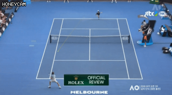 테니스 정현이 오늘 되는날이라는걸 보여주는 짤.gif