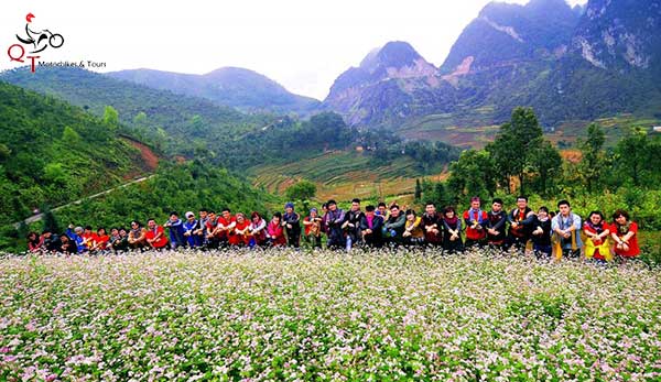 Du lịch Hà Giang với những địa điểm ngắm hoa tam giác mạch đẹp nhất 4