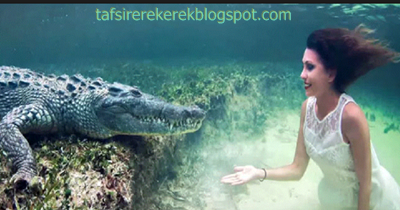 11 Tafsir Mimpi Buaya Menurut Erek Erek 2d 3d 4d Tafsir Erek Erek