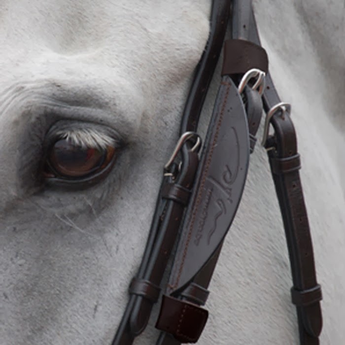 From Racehorse to Riding Horse