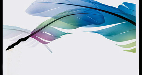 adobe photoshop cs 8 free download full version with crack adobe photoshop cs 8 free download full version with crack