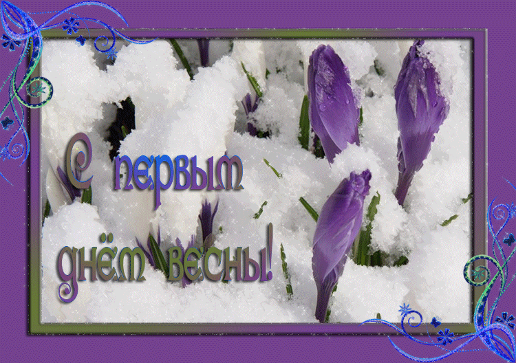 праздник прихода весны. солнечного весеннего дея. поздравление с весной. подснежники в снегу. с первым днем весны.