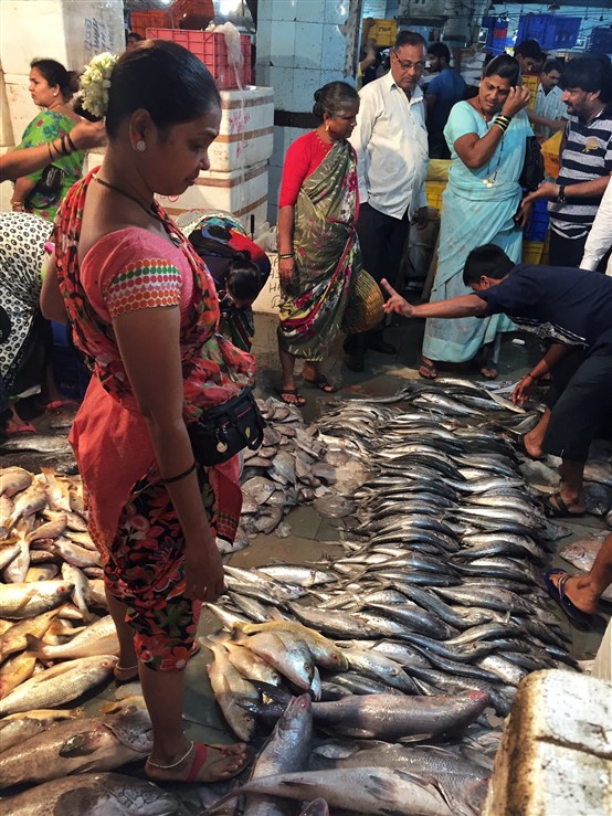 Crawford Fish Market of Mumbai a memorable visit!