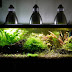 Aquarium Light Bulbs Make your Fishtank more Attractive