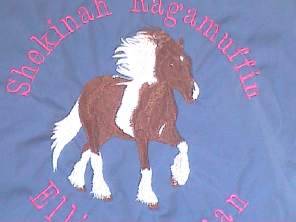 Raggy Horse Equestrian