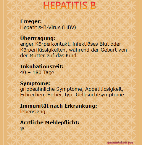 Gesunde Knirpse Hepatitis B