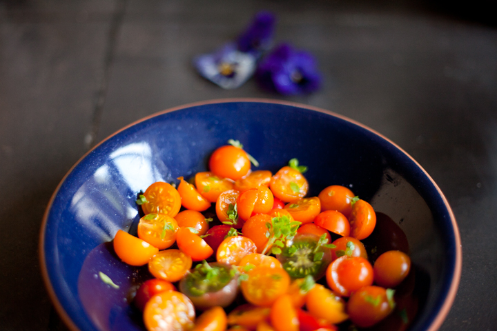 Sun gold tomato recipes