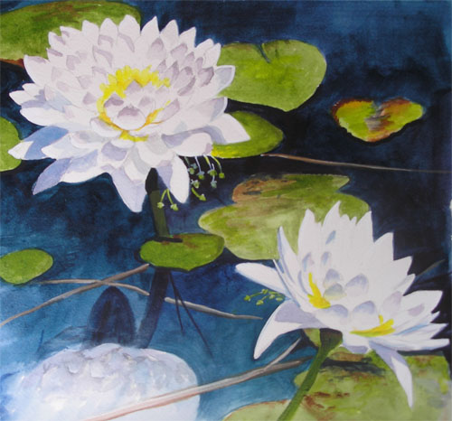 water lilies