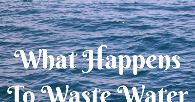 Skip The Bag: What Happens to Waste Water?