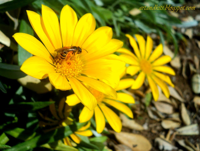 O que é a vida?... Apenas um encontro demasiado breve, com cada pessoa... tempo... e lugar... Cada minuto... deve mesmo contar... / What is life? ... Just a meeting far too brief, with every person... place... and time... Every minute counts.