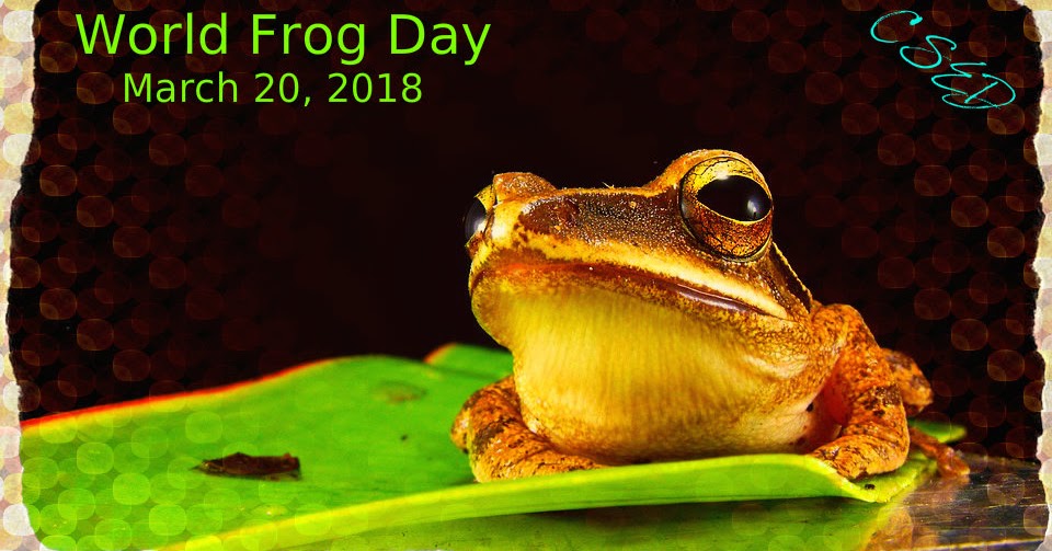 Crazy Days To Celebrate March 20 2018 crazy-days-to-celebrate-march-20-2018