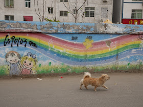 dog walking by a mural with a rainbow on a wall in Xiapu, China