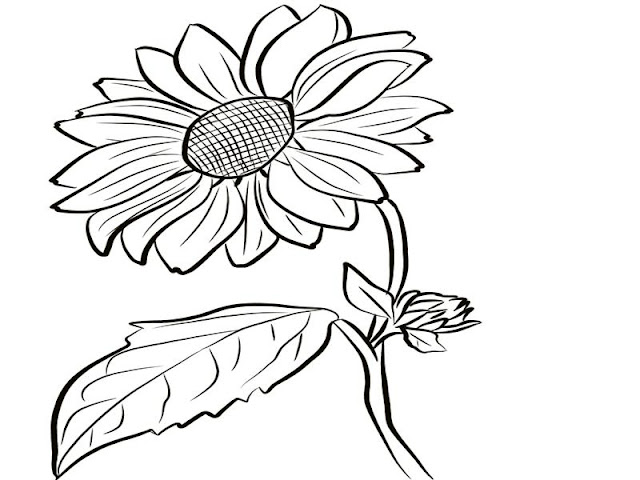 contoh mewarnai lukisan bunga matahari