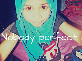 Nobody Perfect