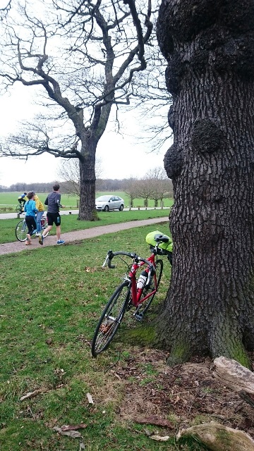 knole park cycling