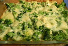 recipe for cheesy broccoli dip 