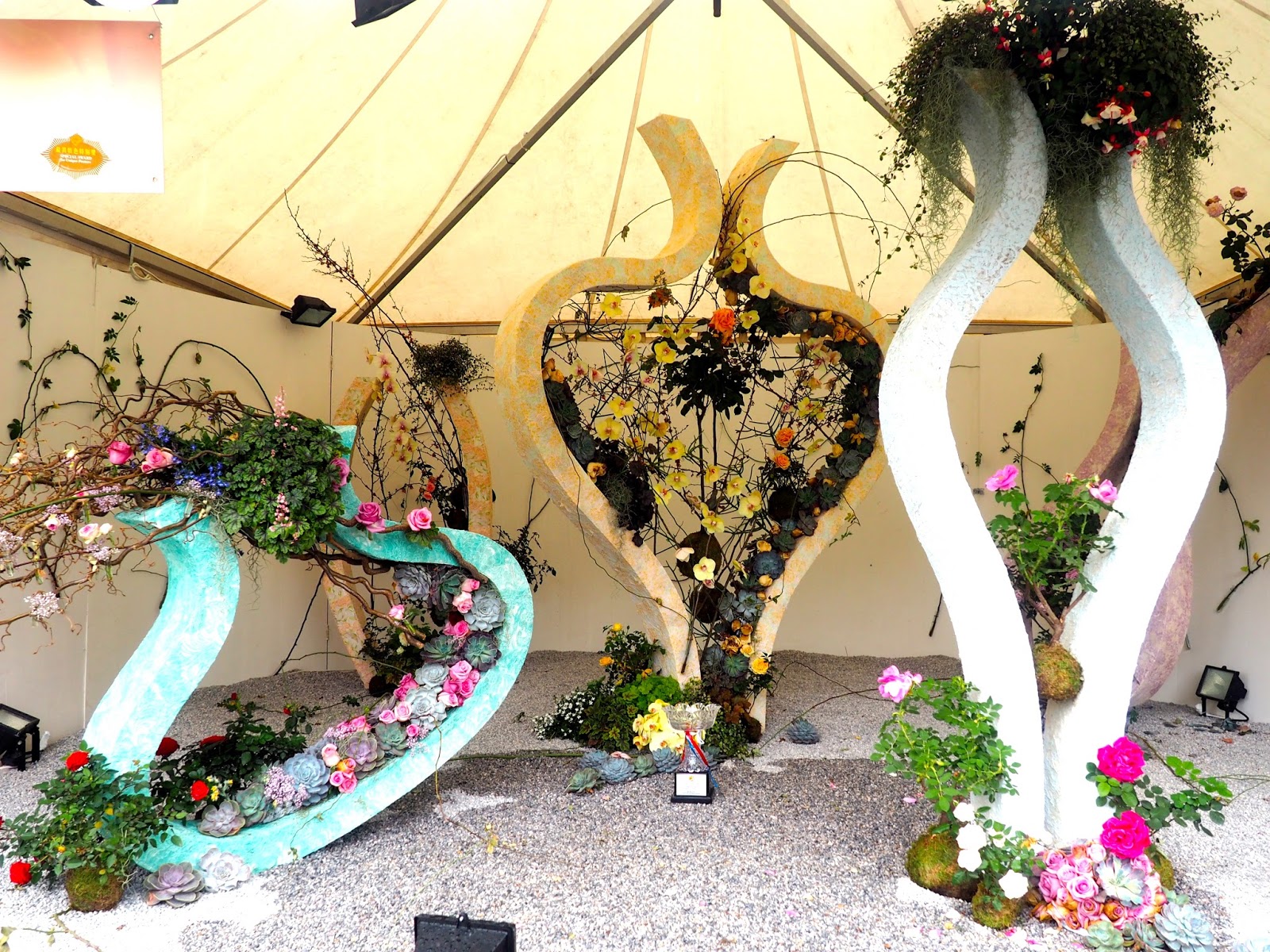 Hong Kong Flower Festival Just Muddling Through Life