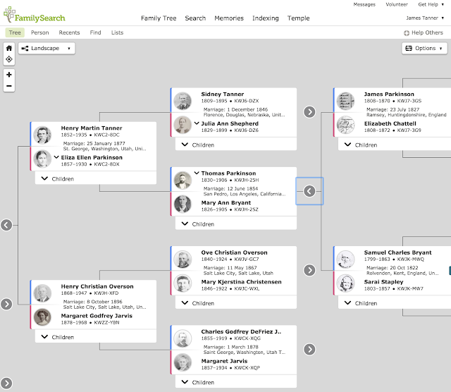 Rejoice, and be exceeding glad...: How Good is the FamilySearch Family ...