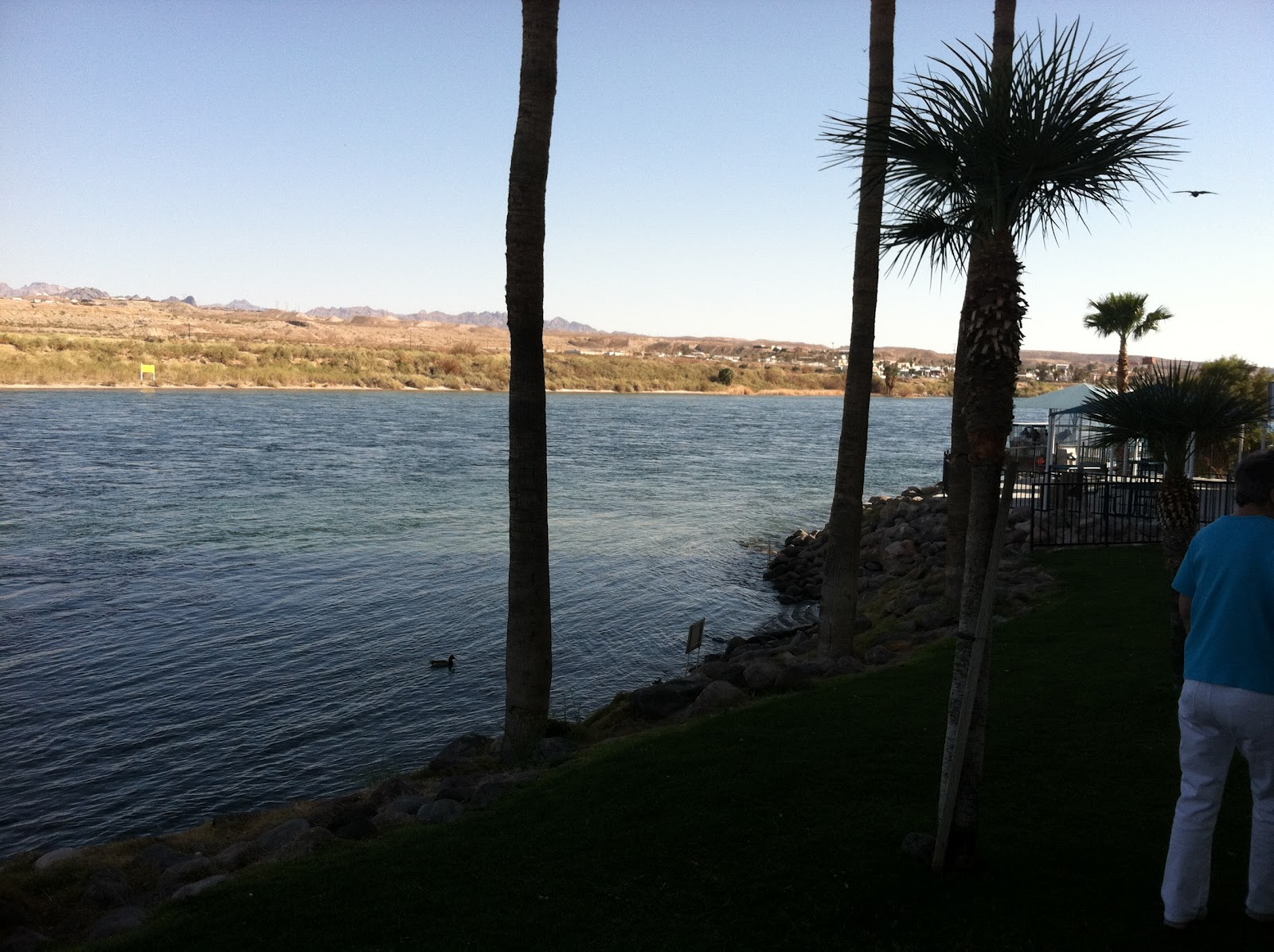Dan and Linda's Adventure Log: Laughlin, NV/River Walk