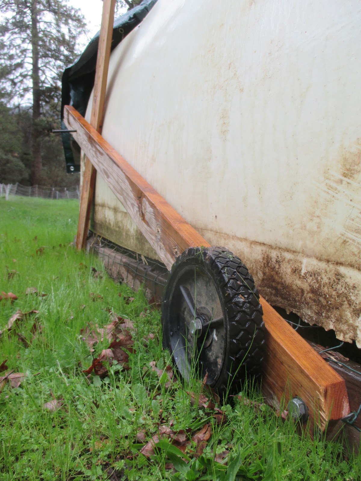 triangle chicken tractor wheels and morning chores
