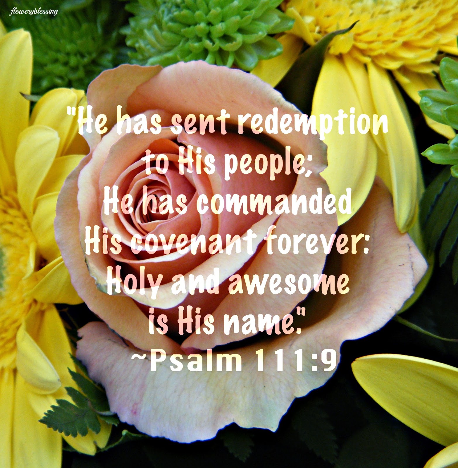 flowery-blessing-november-2014