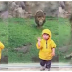 SHOCKING VIDE: LION HOLDS TO A BOY TO TURN HIS BACK ON HIM AND THAN JUMP ON HIM