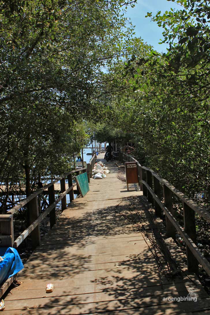 taman mangrove morosari demak