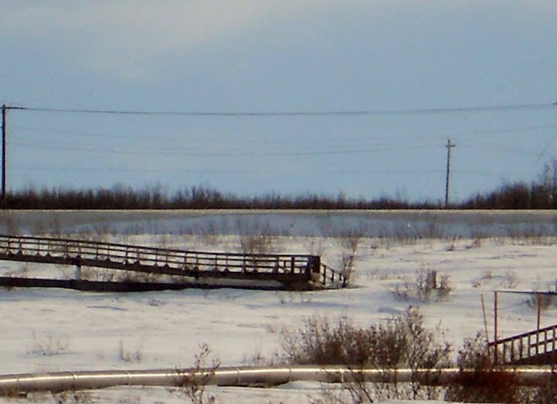 Sheryl's Great Adventure Year 2 Trip to Bethel, Alaska